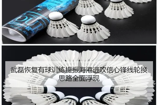 武磊恢复有球训练提振海港进攻信心锋线轮换思路全面浮现